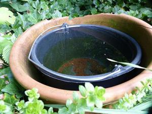 Common breeding sites for mosquitoes such as Aedes albopictus or Aedes aegypti where larvae of these species can be found around the house, e.g. water filled buckets.